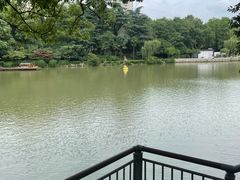 -红梅公园