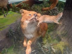 -国家自然博物馆