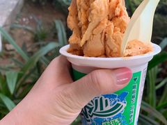 -老字号李姐炒冰(夏日百货店)