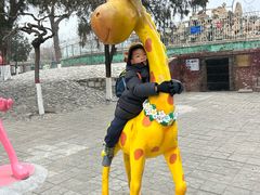 -保定市动物园