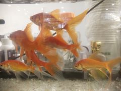 -张钰强中医正骨推拿连锁(唐家人才公寓店)
