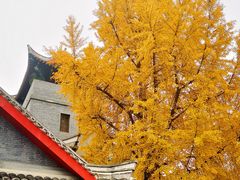 -四川大学(华西校区)