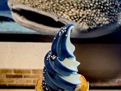 -大阪海游馆