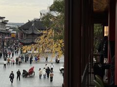 -奇芳阁·百年清真南京菜(夫子庙店)