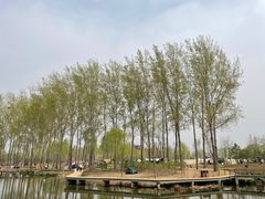 -东郊湿地公园