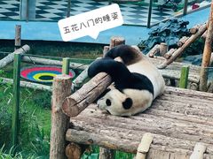 -大连森林动物园