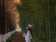 -黄海国家森林公园