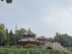 -莲池书院博物馆