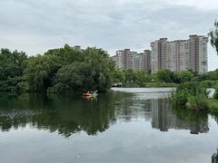 -新江湾城公园