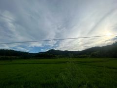 -黄牛肉馆·皖南土菜