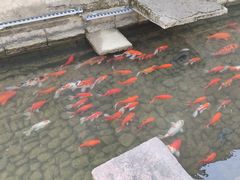 -前童古镇