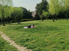 -蜀冈西峰生态公园