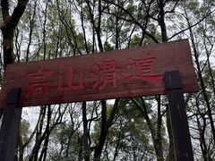 -岳麓山风景名胜区