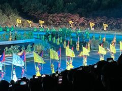 -鼎盛王朝康熙大典实景演出