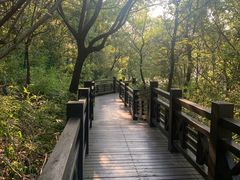 -白马涧龙池景区