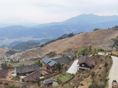 -紫鹊界梯田景区