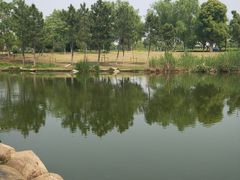 -九里河湿地公园