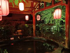 -西安国际创新人才交流中心•药浴温泉
