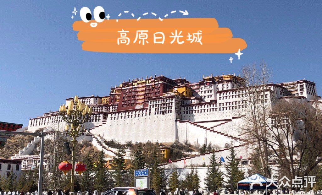 在拉萨高反怎么办？