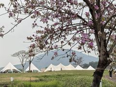 -风云岭森林公园