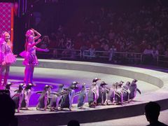 -珠海横琴长隆《卡卡虎奇遇记》