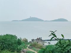 -上海市保健医疗中心