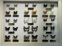 -上海昆虫博物馆