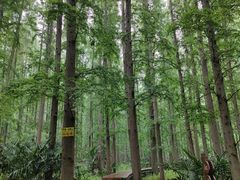 -上海怡沁园度假酒店