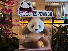 -成都保利公园皇冠假日酒店(熊猫基地店)