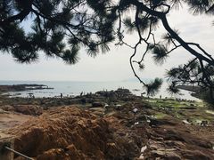 -青岛第二海水浴场