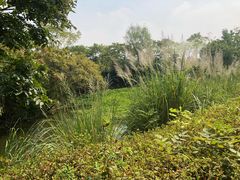 -杭州城北体育公园