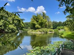 -上海共青森林公园