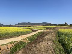 -光明小镇欢乐田园