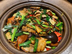 -云海肴·汽锅鸡·云南菜(美罗城店)