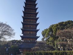 -常熟方塔园