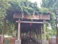 -荷塘月色湿地公园·向阳花洲