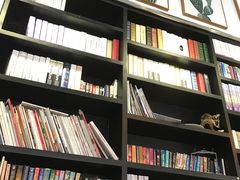 大堂-吉丁鸟咖·异宠·寄养
