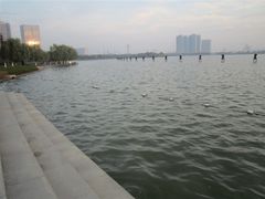 -天鹅湖体育公园