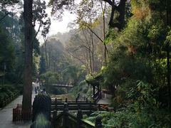 -青城山