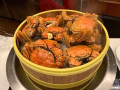 -圣雷克大酒店-爱琴海自助餐厅