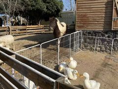 -HERRE·FARM 赫尔露营农场·团建聚会包场