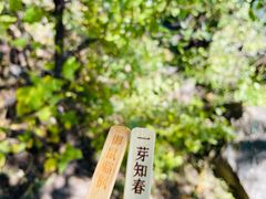 -香山公园