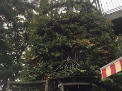 -三鹰之森吉卜力美术馆