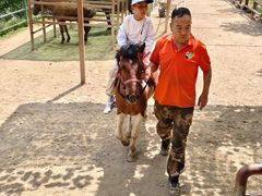 -栾川竹海野生动物园
