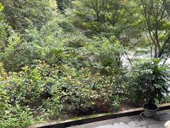 -天怡·鱼工厂(梅溪湖店)