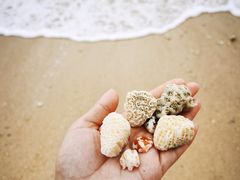 -三亚西岛海洋文化旅游区