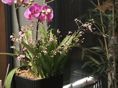 -花锦堂·隐庐