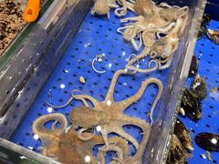 -高佳庄·舟山海鲜(海景旗舰店)