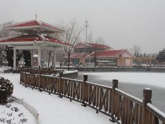 -张店儿童公园