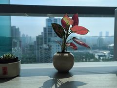 -飞洲国际广场